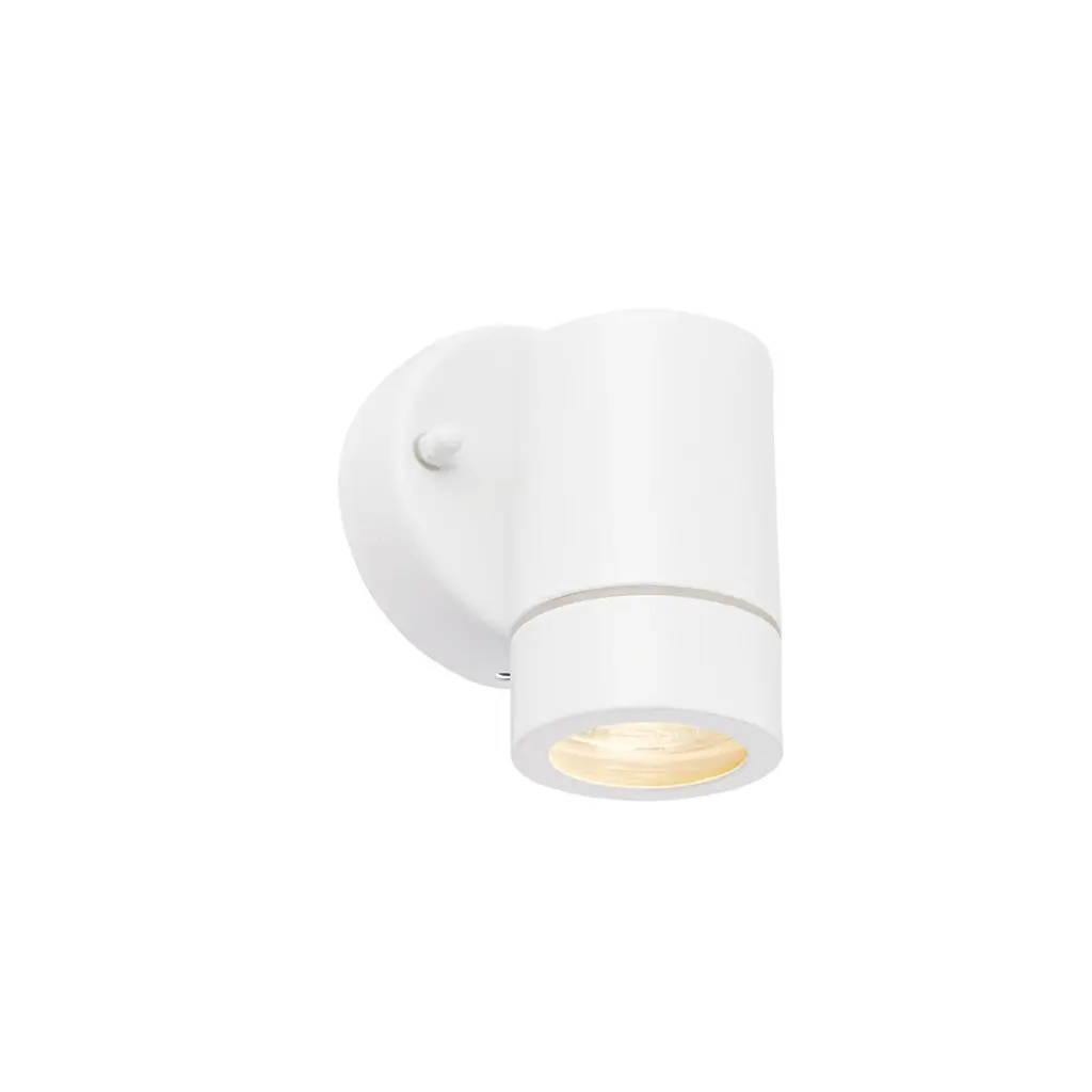 Palin Single Downlight in Matt White IP44