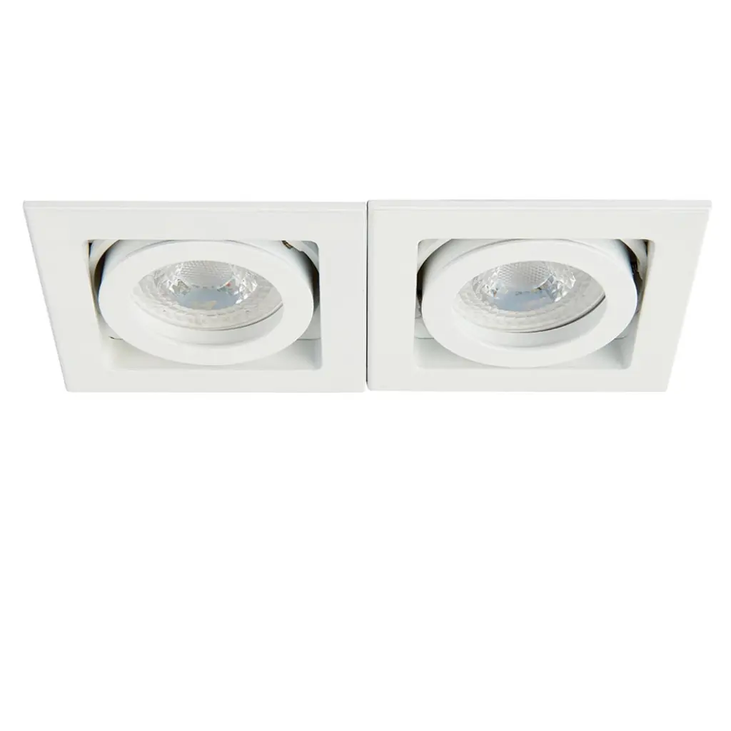 Xeno Double Downlight in Matt White