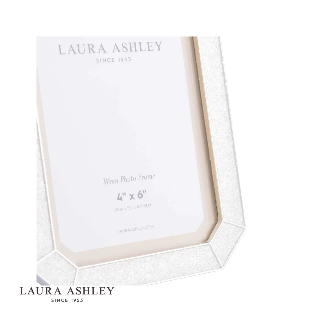 Wren Glitter Silver Plated 4x6 Inch Photo Frame