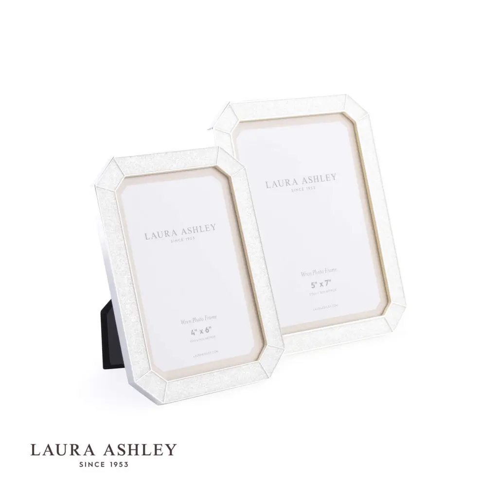Wren Glitter Silver Plated 4x6 Inch Photo Frame