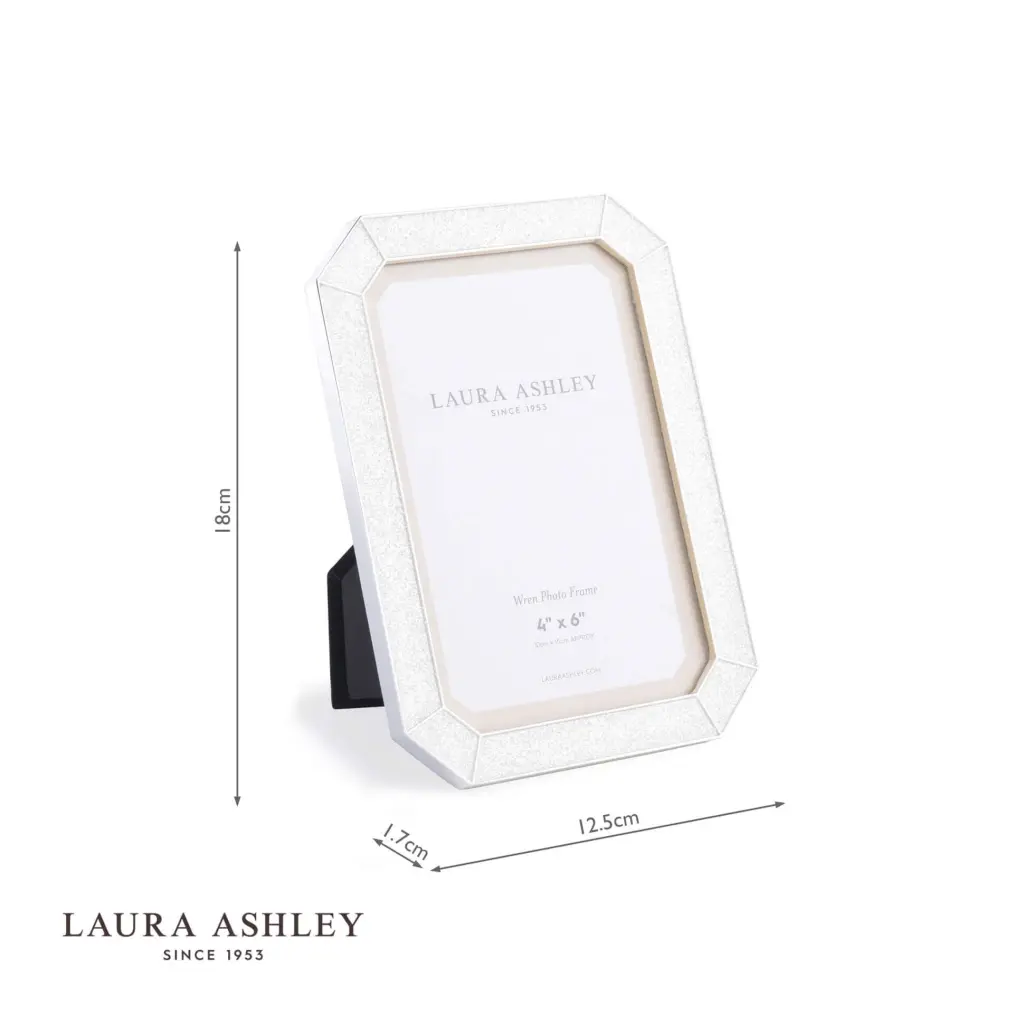 Wren Glitter Silver Plated 4x6 Inch Photo Frame