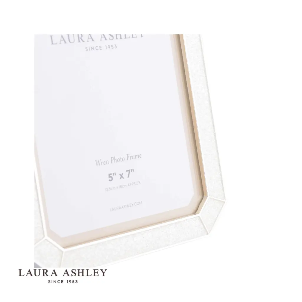 Wren Glitter Silver Plated 4x6 Inch Photo Frame