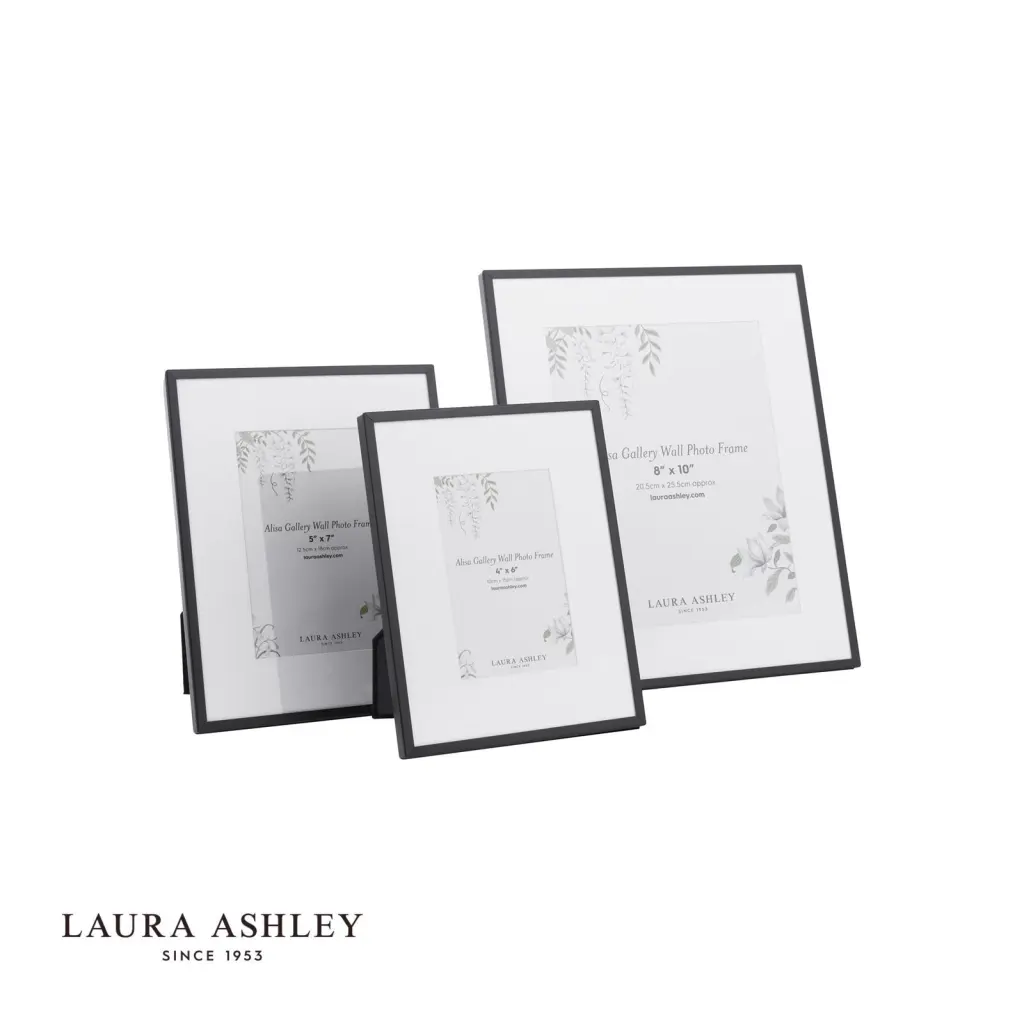 Set of 3 Alisa Matt Black Photo Frames