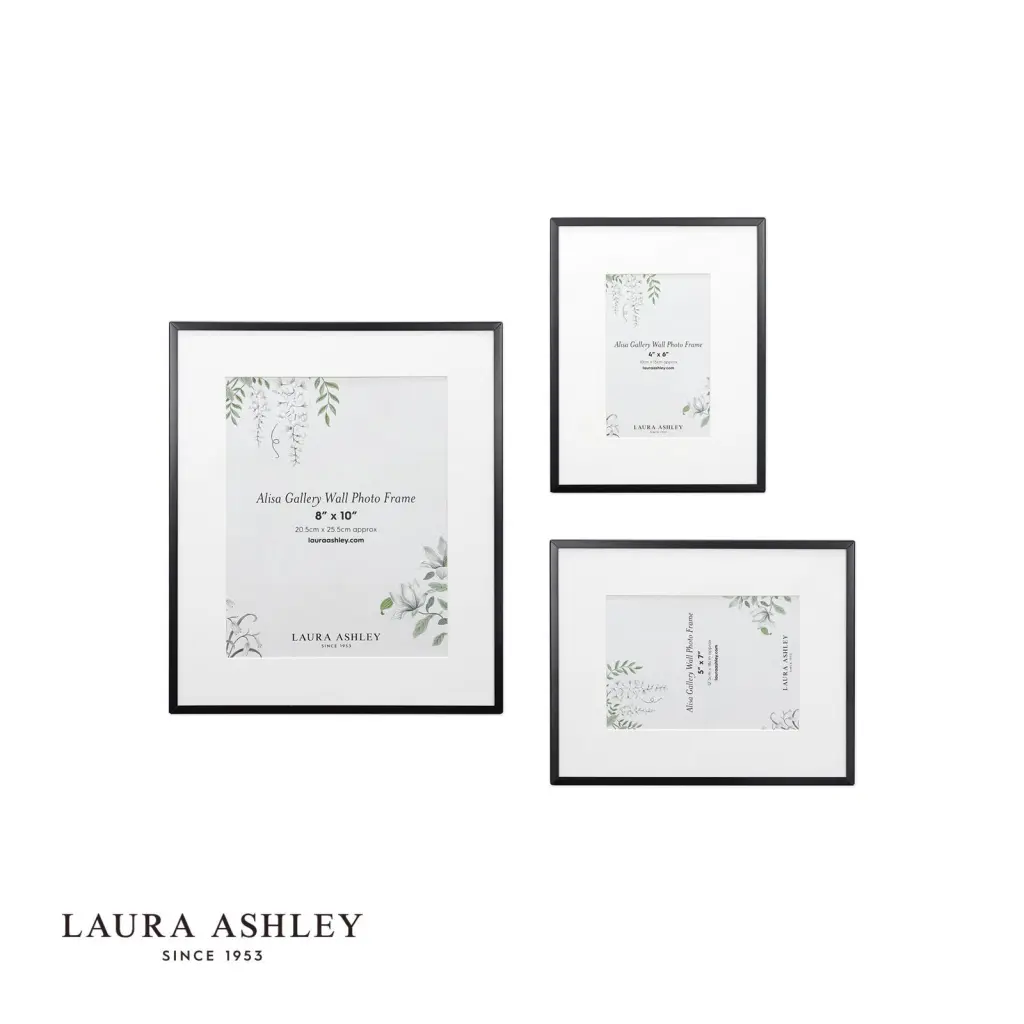Set of 3 Alisa Matt Black Photo Frames