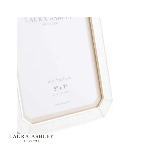 Wren Glitter Silver Plated 4x6 Inch Photo Frame