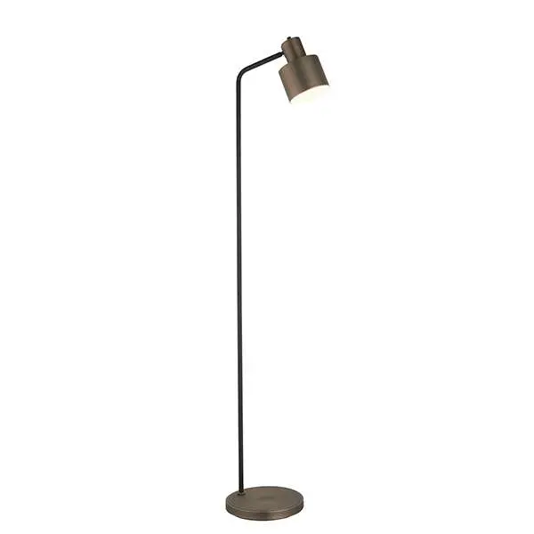 Mayfield Floor Lamp in Bronze Finish