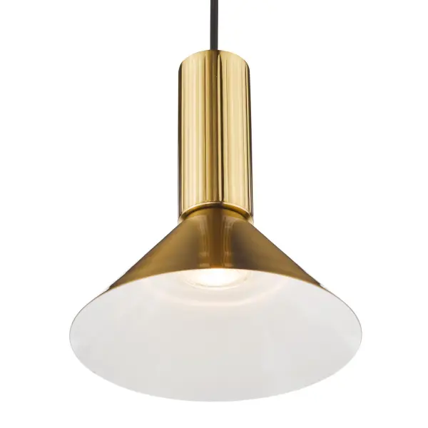 Ragnar Natural Brass Pendant/Wall Light