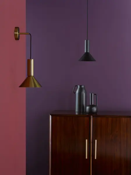 Ragnar Natural Brass Pendant/Wall Light