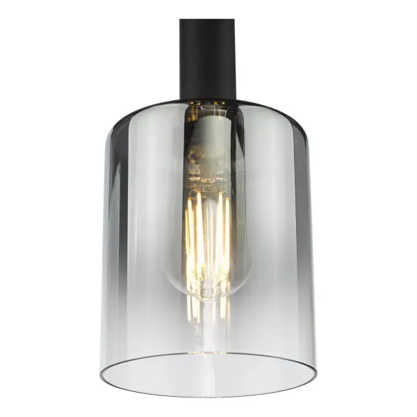 Savannah Single Pendant in Matt Black & Smoked Glass Finish