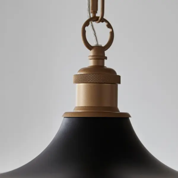 Marie Matt Black & Satin Brass Single Pendant