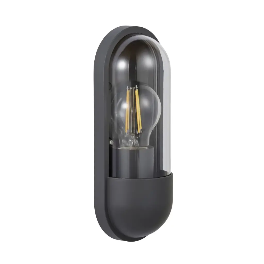 Pilule Outdoor Wall Light in Anthracite IP54