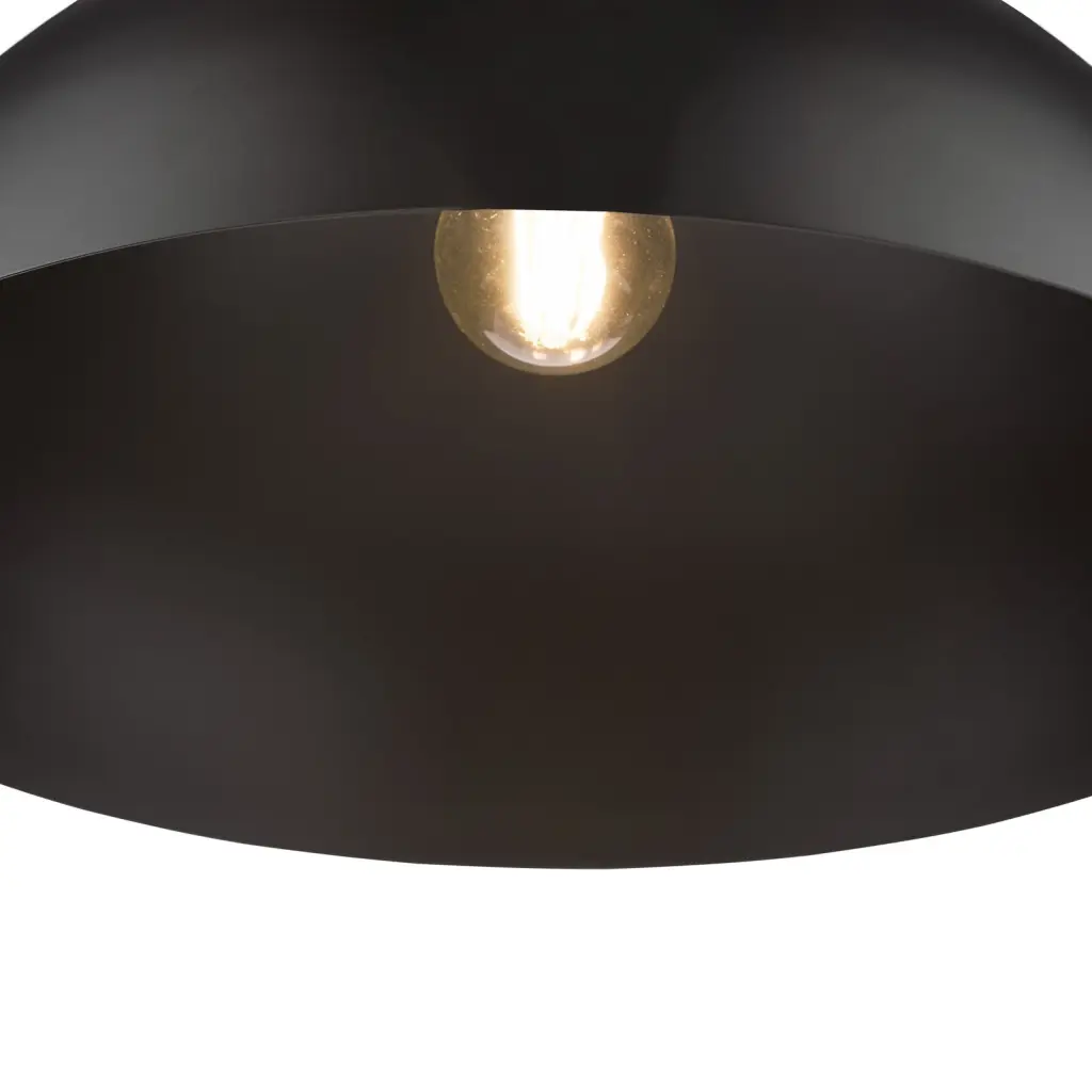 Riya Small Single Pendant in Matt Black