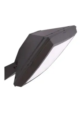 Giova Giuseppe Black Opal GX53 LED 40W Floodlight