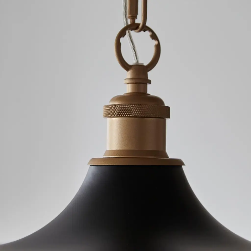 Marie Matt Black & Satin Brass Single Pendant
